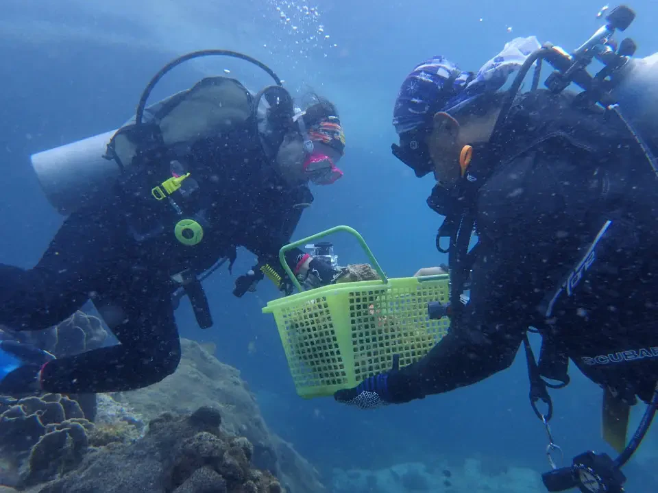 PTTEP Scuba Diving Club organizes marine conservation activities in Chumphon Sea